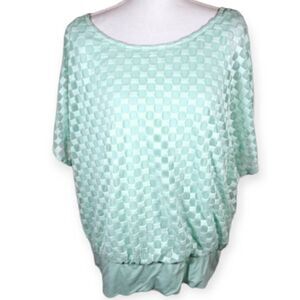 ABG MINT BLOUSE SZ.2X EUC.  GORGEOUS BLOUSE IN EXCELLENT USED CONDITION.